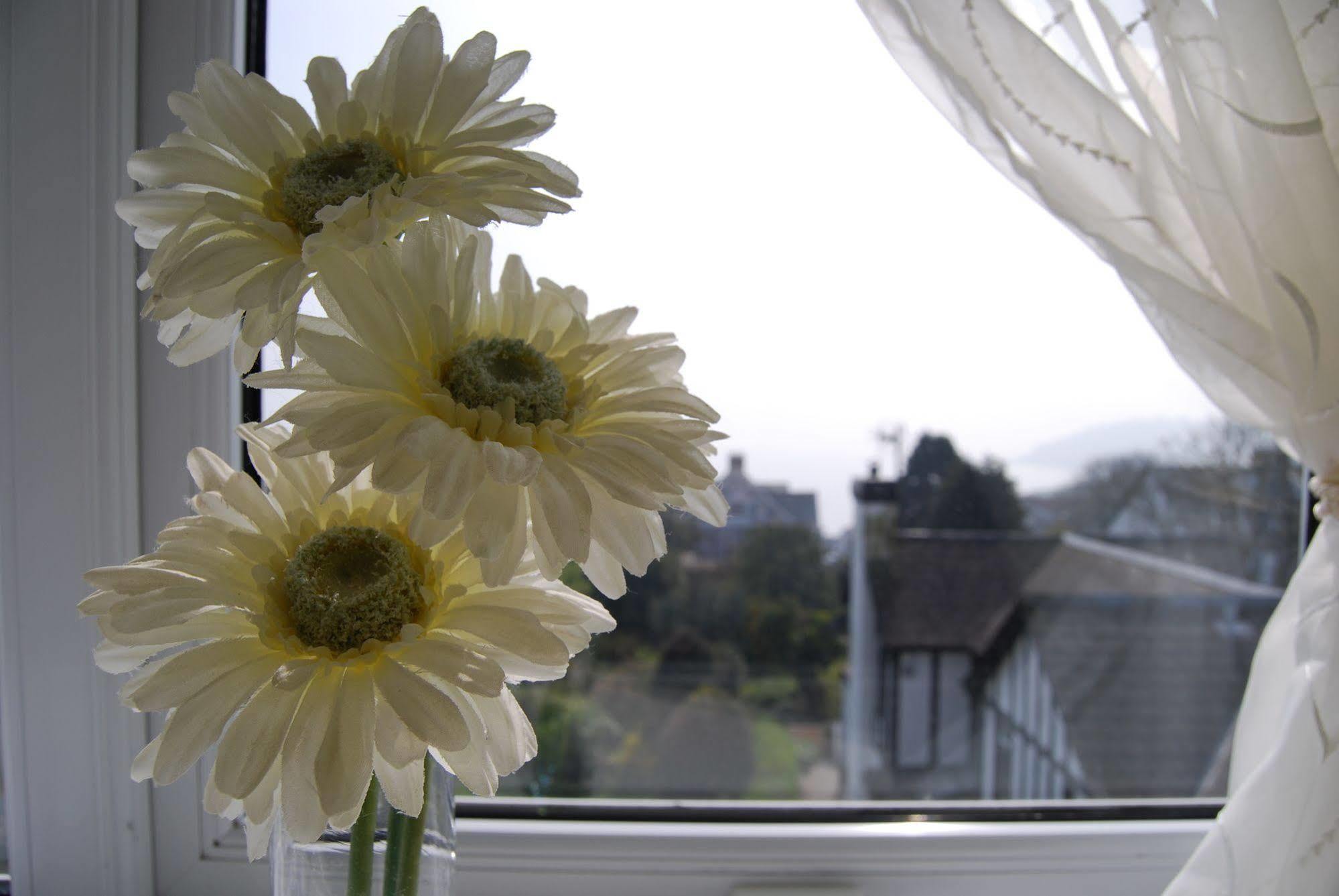 Tudor Court Hotel Falmouth Luaran gambar